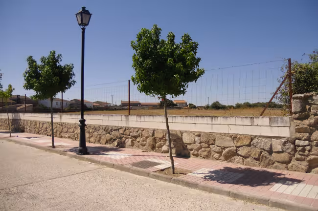 SU 14 - Solar en Albalá