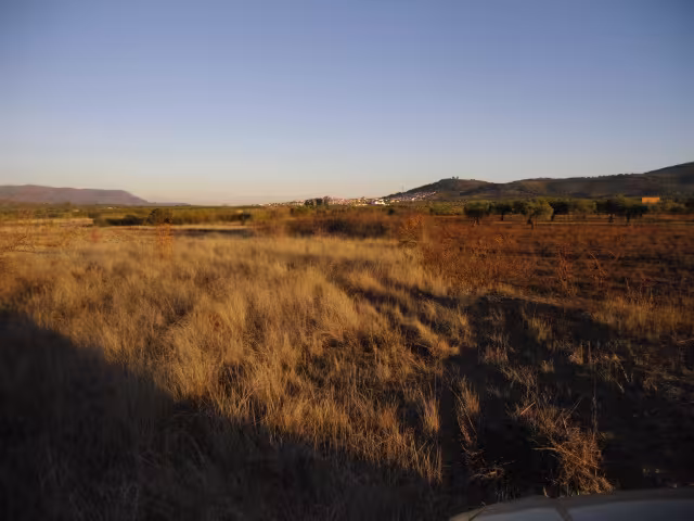 FC - 51 - Finca con casa en Alcuescar