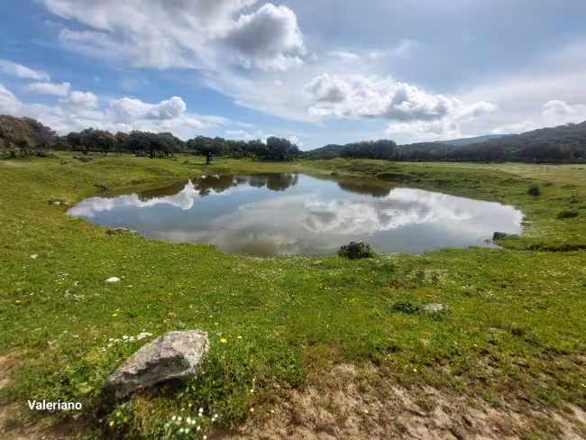 F-C-C 73 - Finca con casa en Torre de Santa María