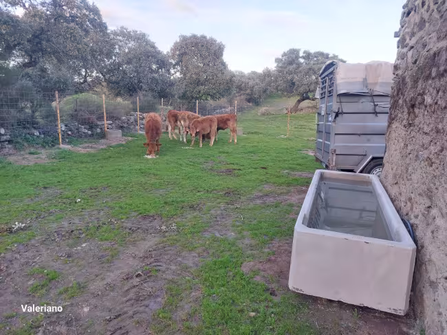 F-C-C 73 - Finca con casa en Torre de Santa María