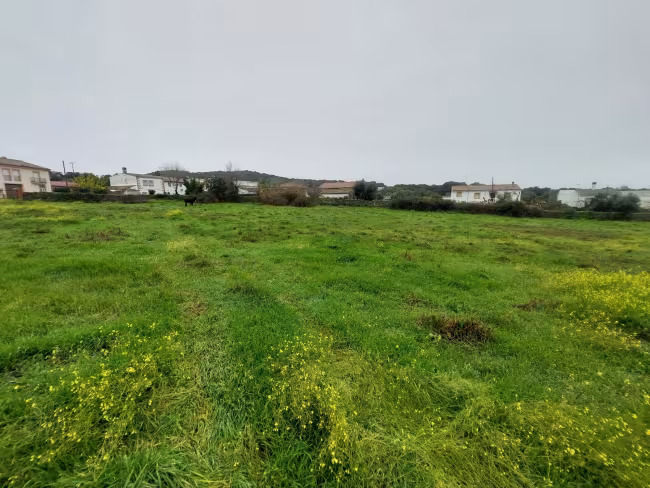 SU-113 - Solar en Ruanes