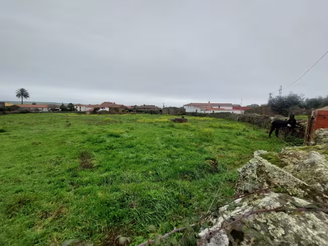 SU-113 - Solar en Ruanes