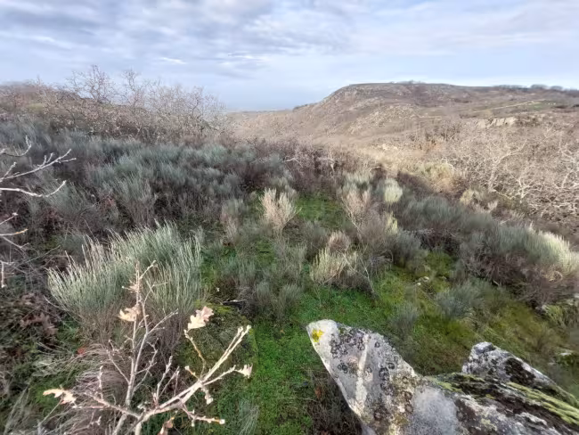 FR-116 - Finca en Montánchez